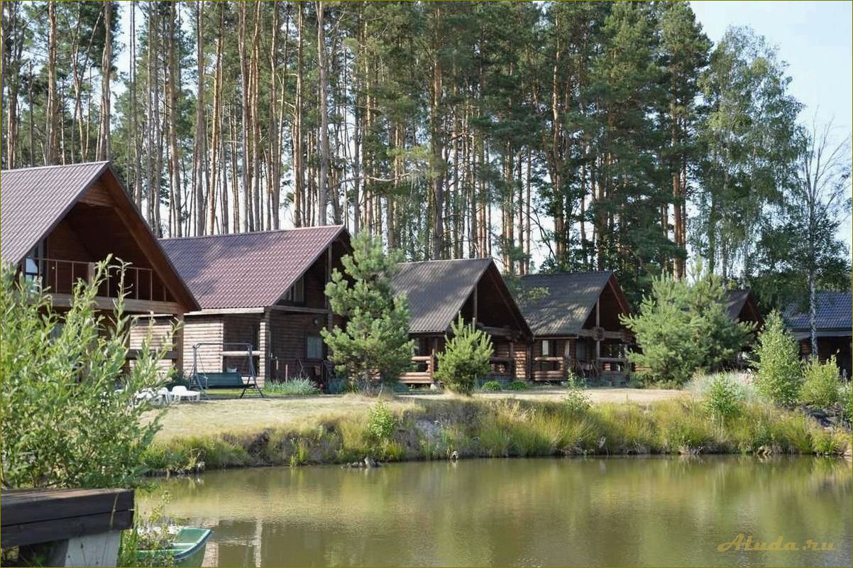 Прекрасный отдых в Омской области — базы отдыха с рыбалкой ждут вас!