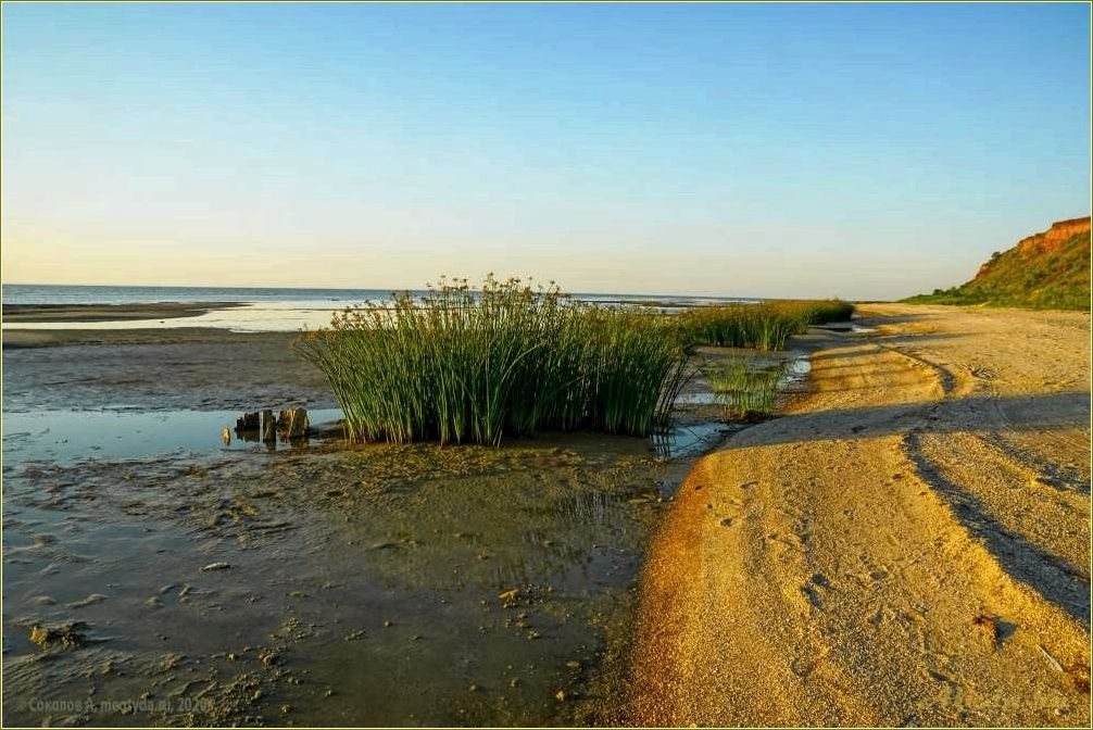 (отдых, семибалках, ростовской, области, лучшие) Отдых в семибалках ростовской области — лучшие места для отдыха, развлечений и путешествий