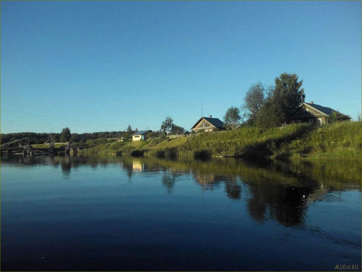 Отдых в Щекино, Вологодская область — идеальное место для релакса и наслаждения природой