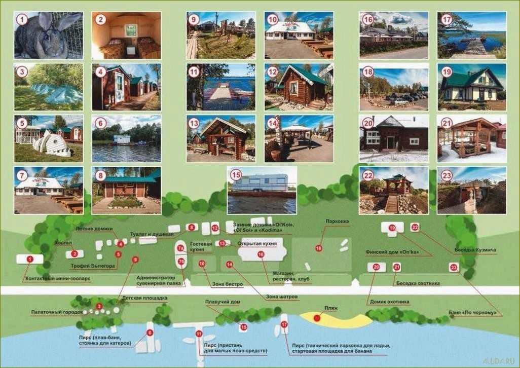 Отдых в Щекино, Вологодская область — идеальное место для релакса и наслаждения природой