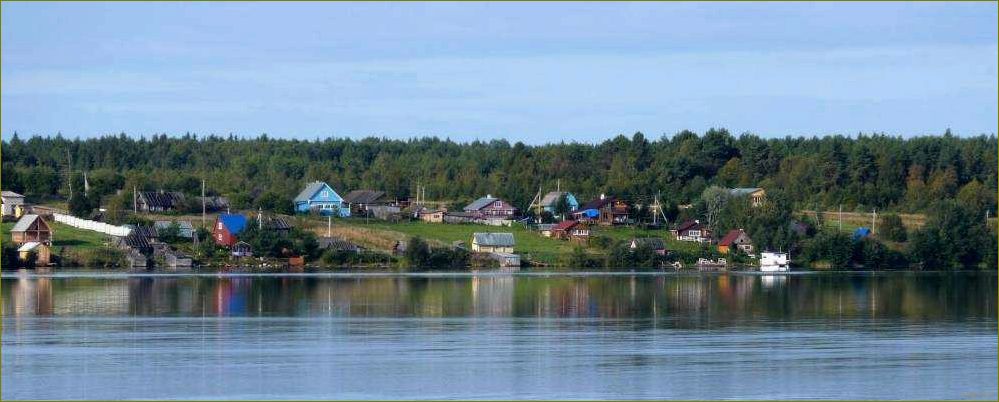 Отдых в Щекино, Вологодская область — идеальное место для релакса и наслаждения природой