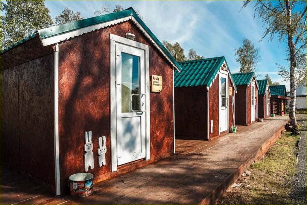 Отдых в Щекино, Вологодская область — идеальное место для релакса и наслаждения природой