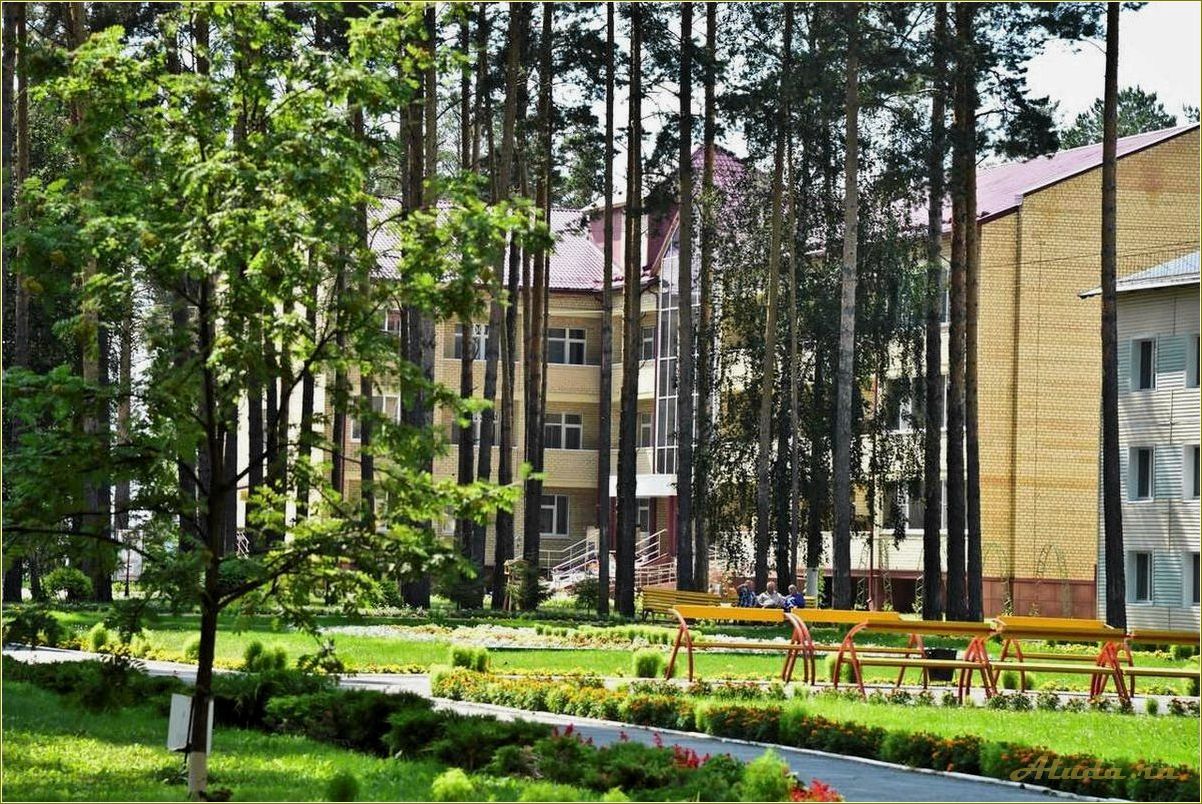 (отдых, тюменской, области, лучшие, пансионаты) Отдых в тюменской области: лучшие пансионаты для идеального отпуска