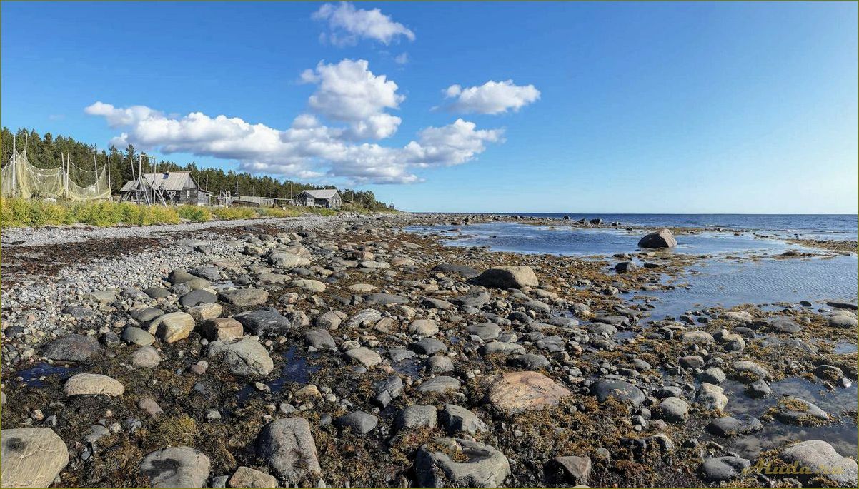 Отдых в Умбе Мурманской области — идеальное место для отпуска на берегу Белого моря