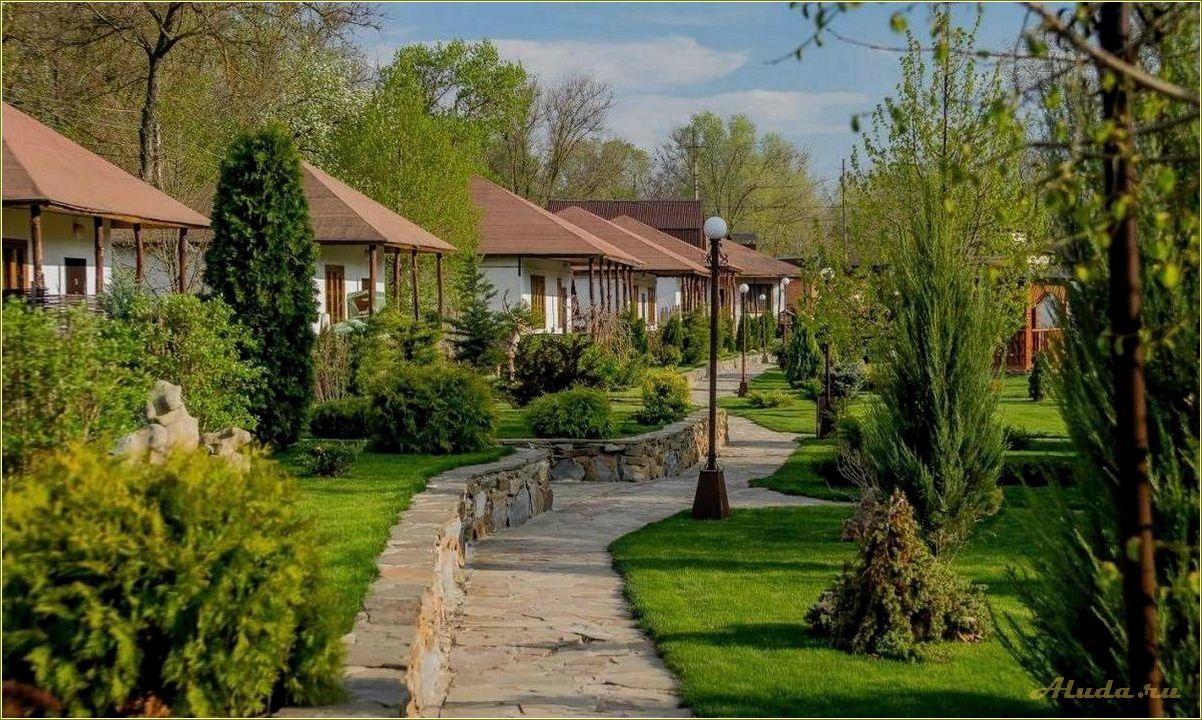 (отдых, берегу, реки, прекрасной, ростовской) Отдых на берегу реки в прекрасной Ростовской области — лучшие места для отдыха и развлечений