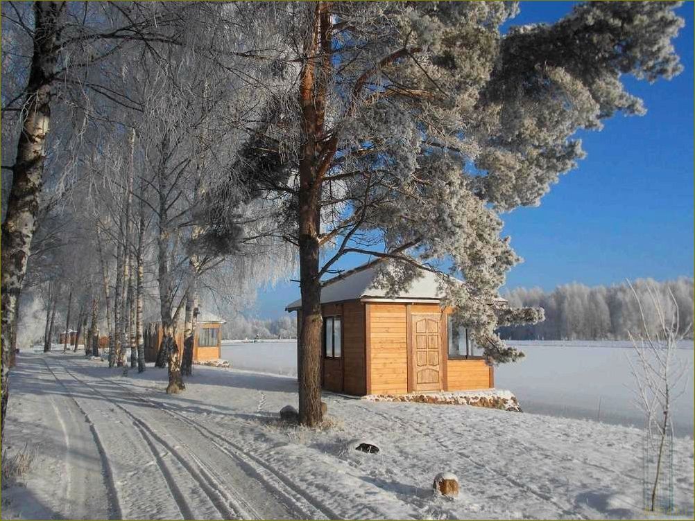 Отдых зимой в Московской области — лучшие места для активного отдыха и семейного времяпровождения