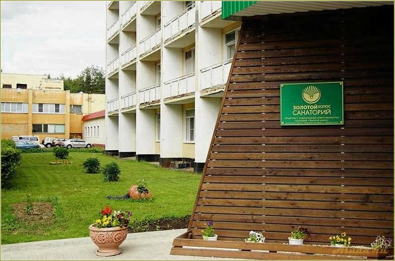 (отдых, лечения, ярославской, области) Отдых без лечения в Ярославской области