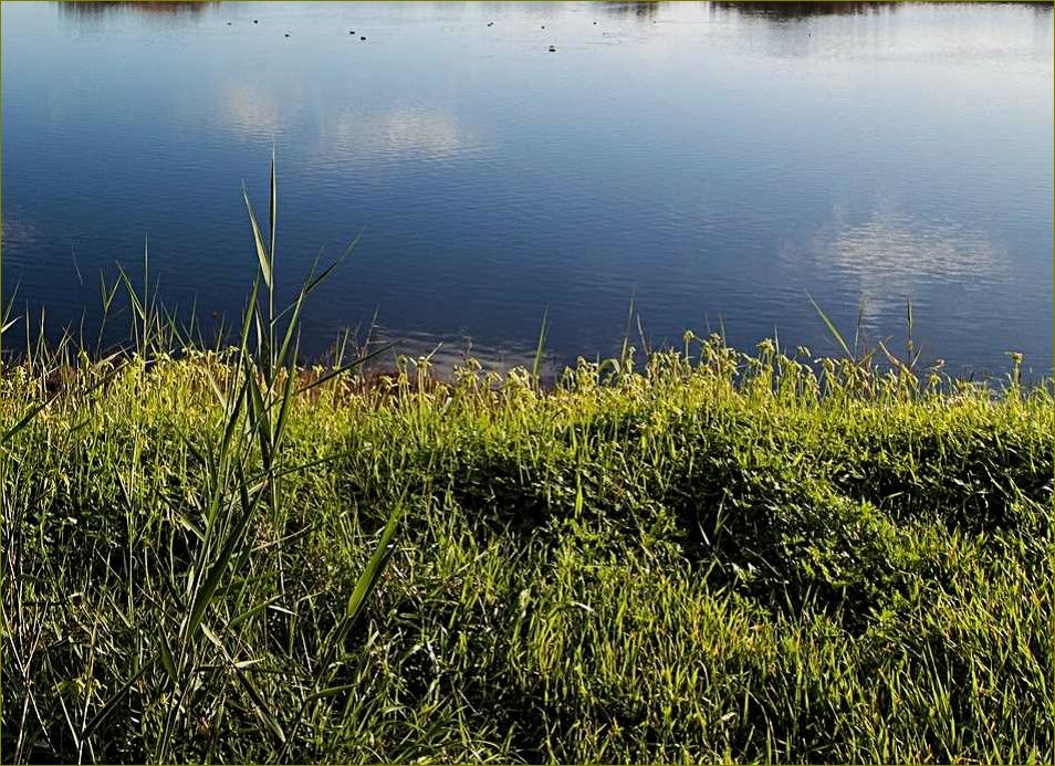 (отдых, летом, прекрасной, воронежской, области) Отдых летом в прекрасной Воронежской области на берегу уютного водоема — лучшие места для релакса и активного времяпровождения