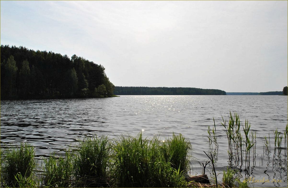 (отдых, чистике, смоленской, области, лучшие) Отдых на Чистике в Смоленской области: лучшие места и развлечения