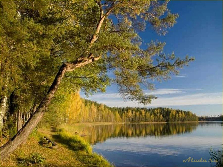 (отдых, чистике, смоленской, области, лучшие) Отдых на Чистике в Смоленской области: лучшие места и развлечения