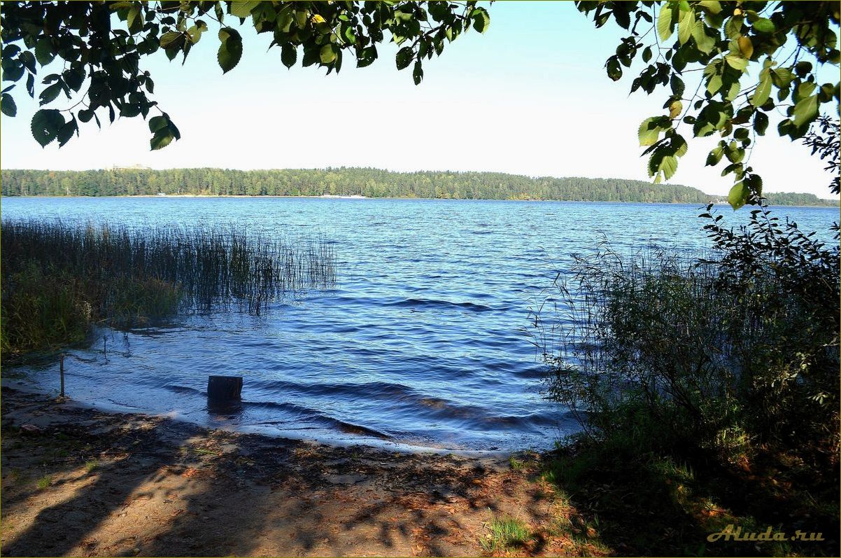 (отдых, чистике, смоленской, области, лучшие) Отдых на Чистике в Смоленской области: лучшие места и развлечения