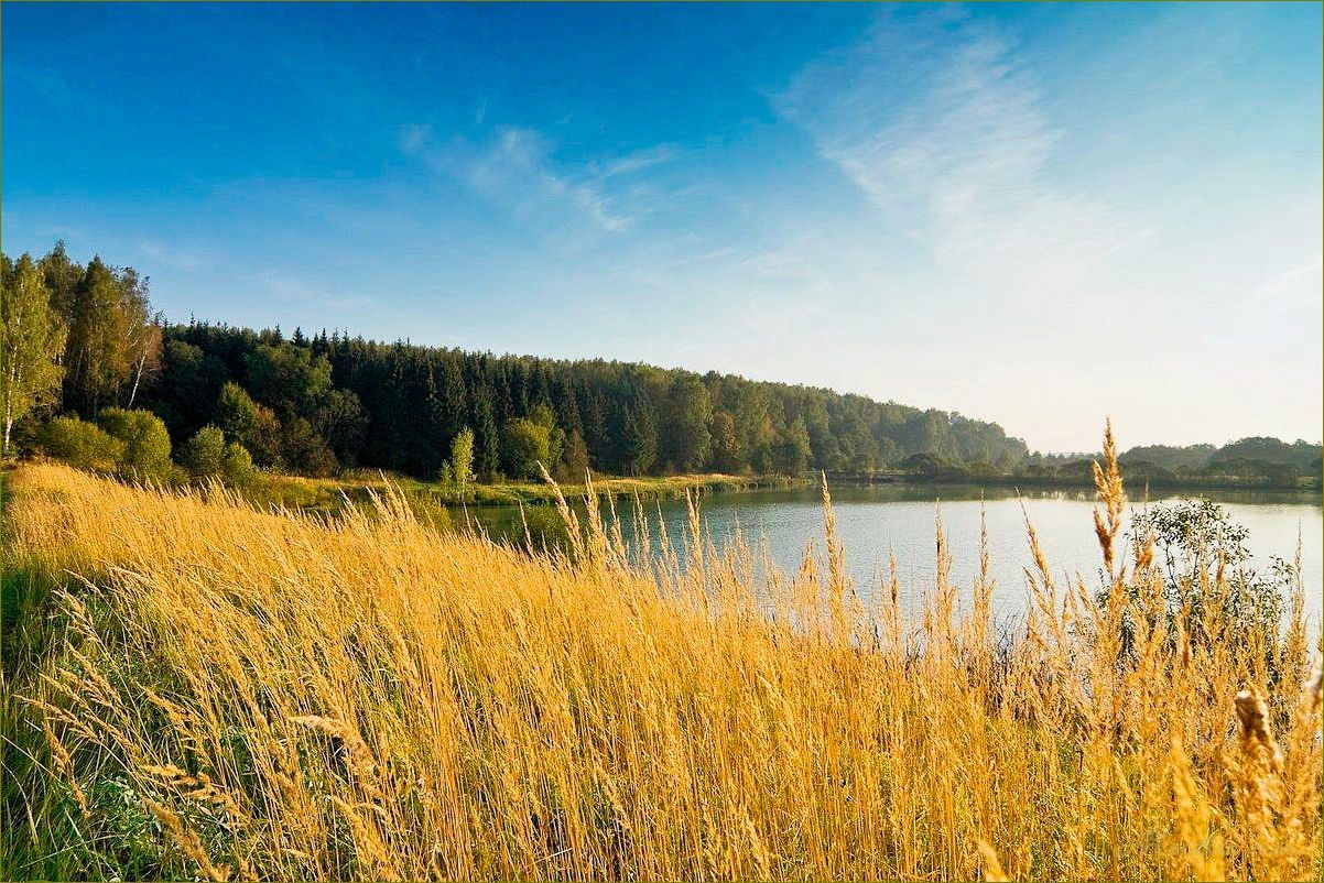 (отдых, чистике, смоленской, области, лучшие) Отдых на Чистике в Смоленской области: лучшие места и развлечения