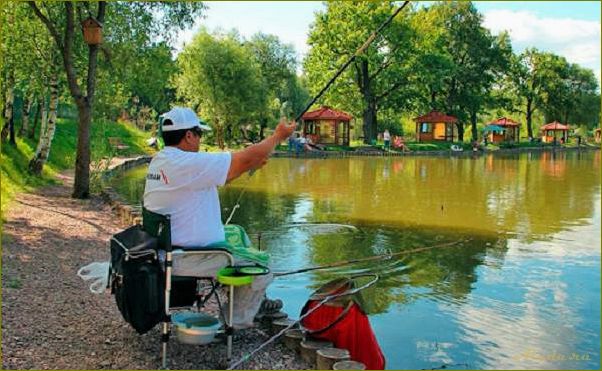 (отдых, чистике, смоленской, области, лучшие) Отдых на Чистике в Смоленской области: лучшие места и развлечения