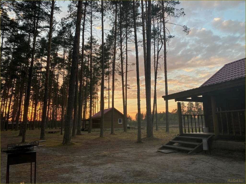 (отдых, озере, курганская, область, лучшая) Отдых на озере Курганская область — лучшая база отдыха для незабываемого отпуска