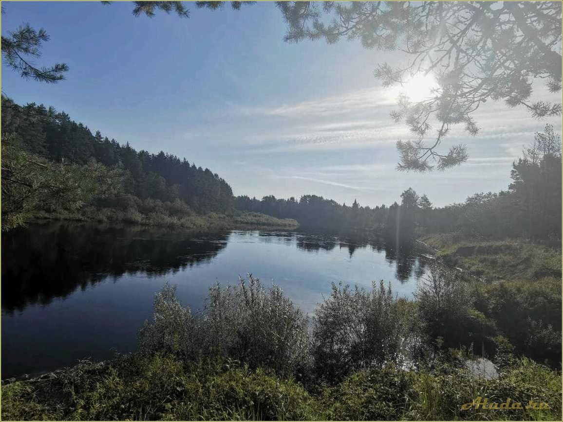 Отдых на реке Медведица Саратовская область с палатками