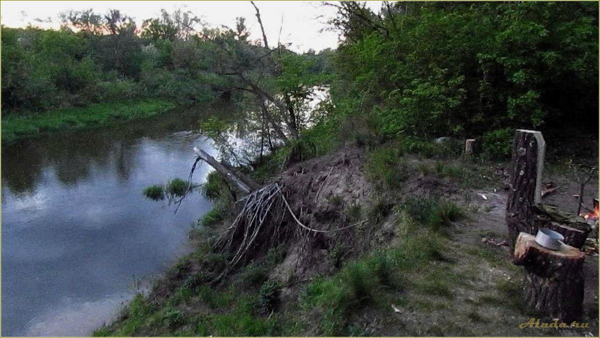 Отдых на реке Медведица Саратовская область с палатками