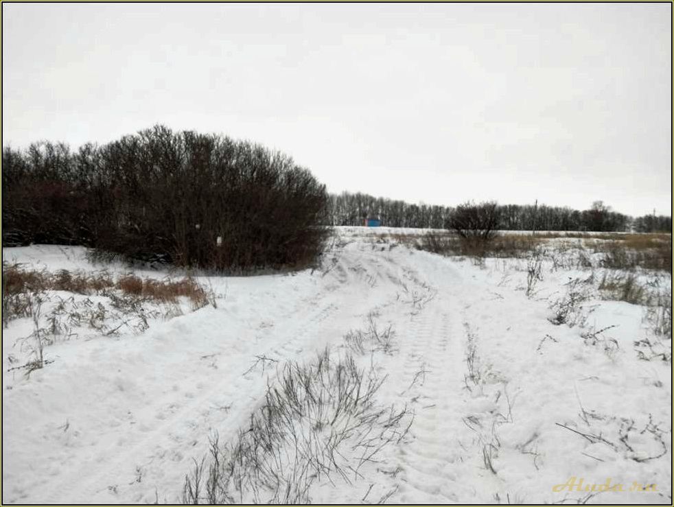 (природные, красоты, уникальные, достопримечательности, отдых) Природные красоты и уникальные достопримечательности — отдых в Саратовской и Пензенской областях