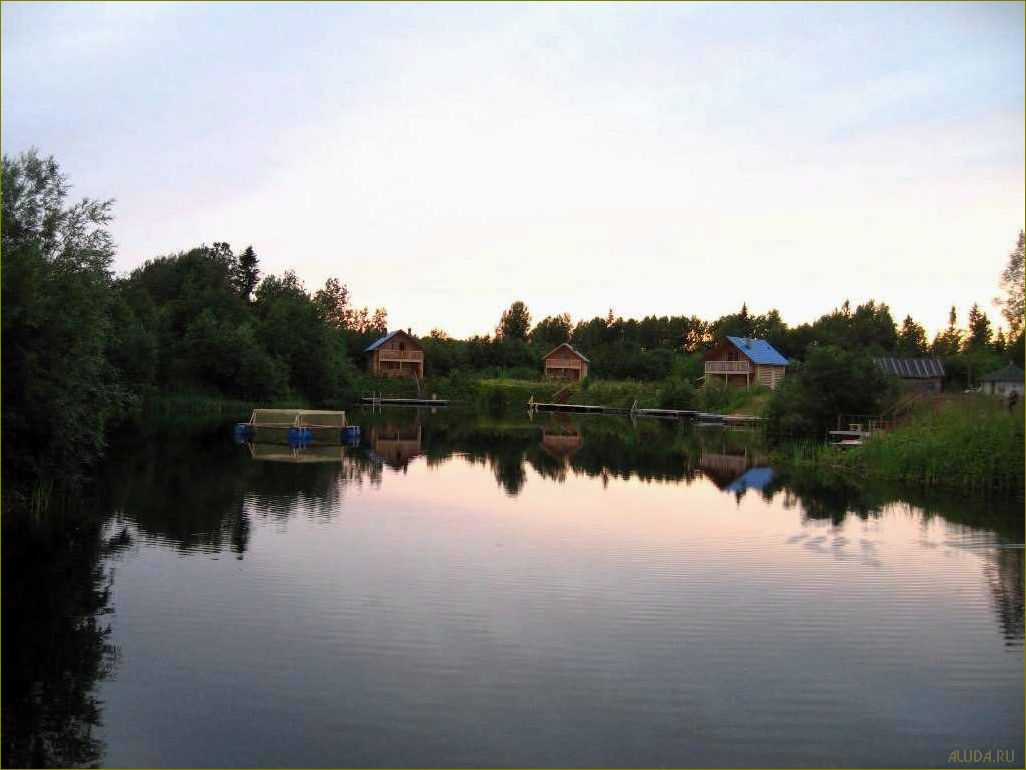 (отдых, живописной, архангельской, области, база) Отдых в живописной Архангельской области — база отдыха