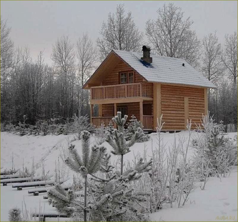 (отдых, живописной, архангельской, области, база) Отдых в живописной Архангельской области — база отдыха