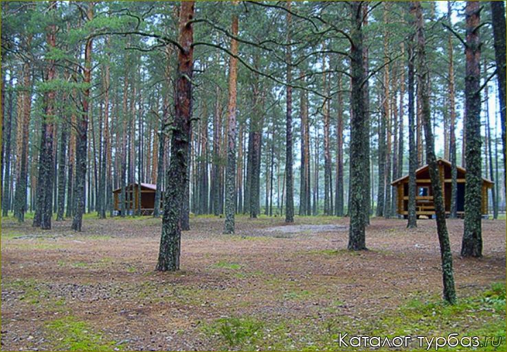 (отдых, белом, озере, ульяновская, область) Отдых в Белом озере Ульяновская область: цены, услуги, отзывы