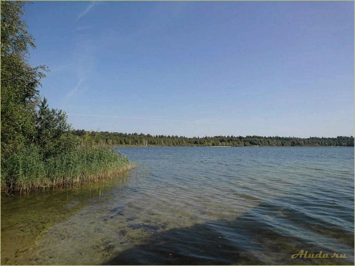 Отдых в Николаевском районе Ульяновской области