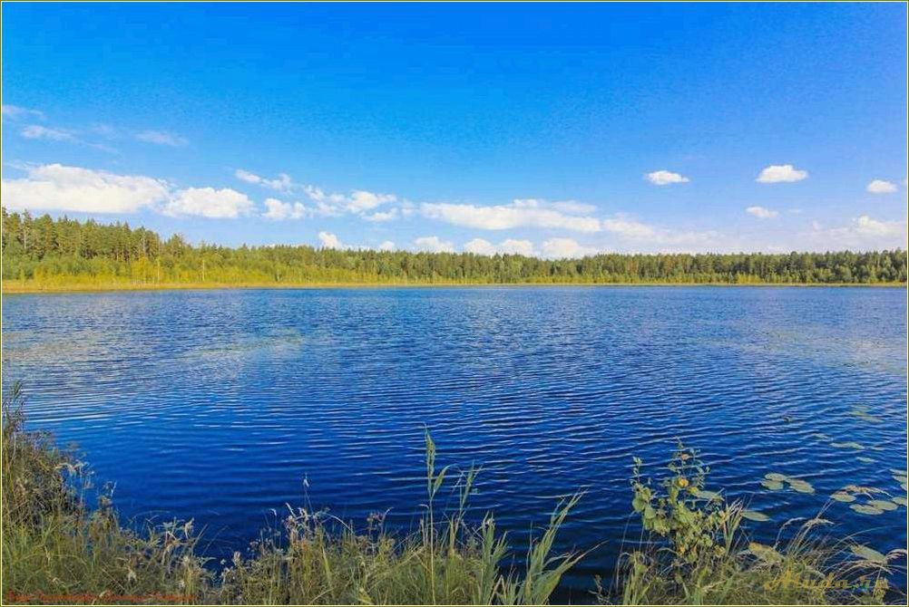 Отдых в Николаевском районе Ульяновской области