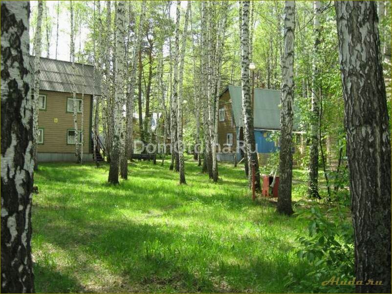 Отдых в ордынском районе новосибирской области — уютные домики среди природы