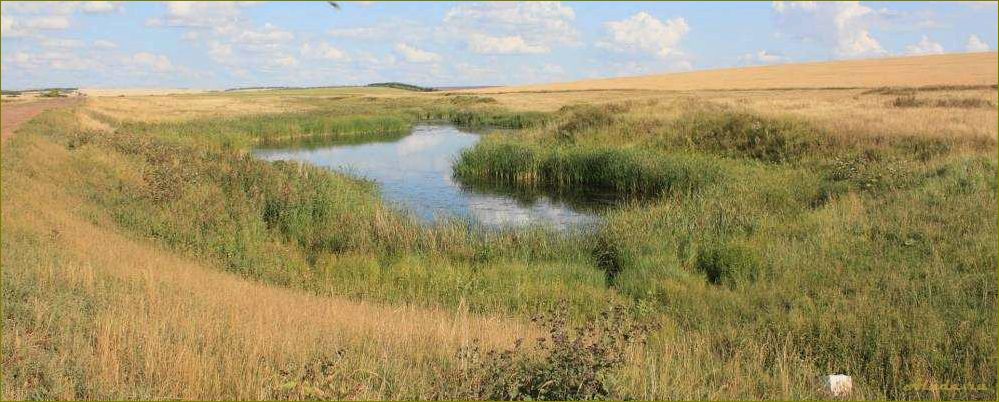 (отдых, первомайском, районе, оренбургской, области) Отдых в первомайском районе оренбургской области — прекрасные природные ландшафты, уникальные достопримечательности и комфортные условия для отдыха