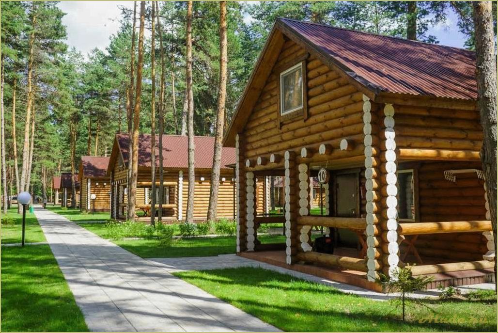 (отдых, смоленской, области, недорого, питанием) Отдых в Смоленской области недорого с питанием