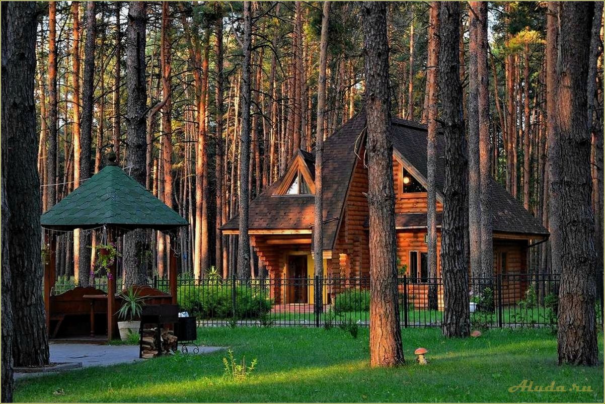 (отдых, смоленской, области, недорого, питанием) Отдых в Смоленской области недорого с питанием