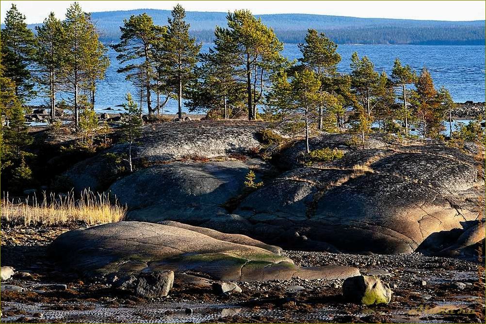 Отдых в Умбе Мурманской области — идеальное место для отпуска на берегу Белого моря