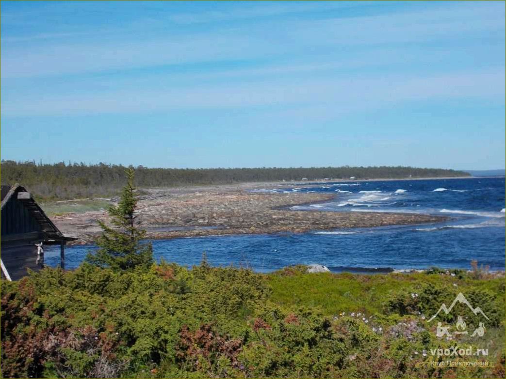 Отдых в Умбе Мурманской области — идеальное место для отпуска на берегу Белого моря