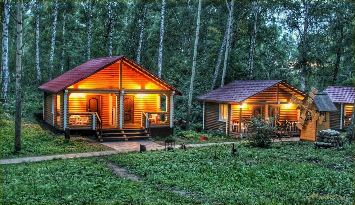 Отдых выходного дня в Новосибирской области — идеи для активного отдыха и релакса