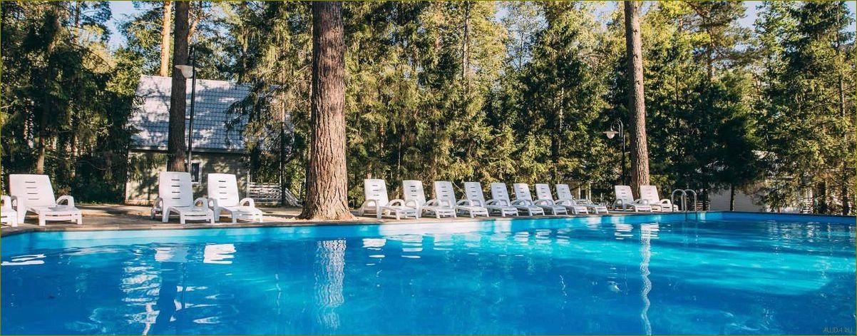 (лучшие, отели, базы, отдыха, воронежской) Лучшие отели и базы отдыха Воронежской области — где провести незабываемый отпуск