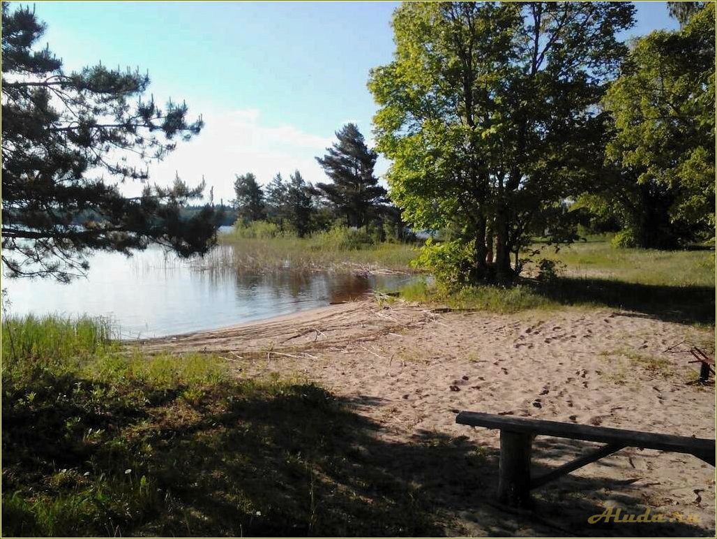 Озера Тверской области: отдых с палатками