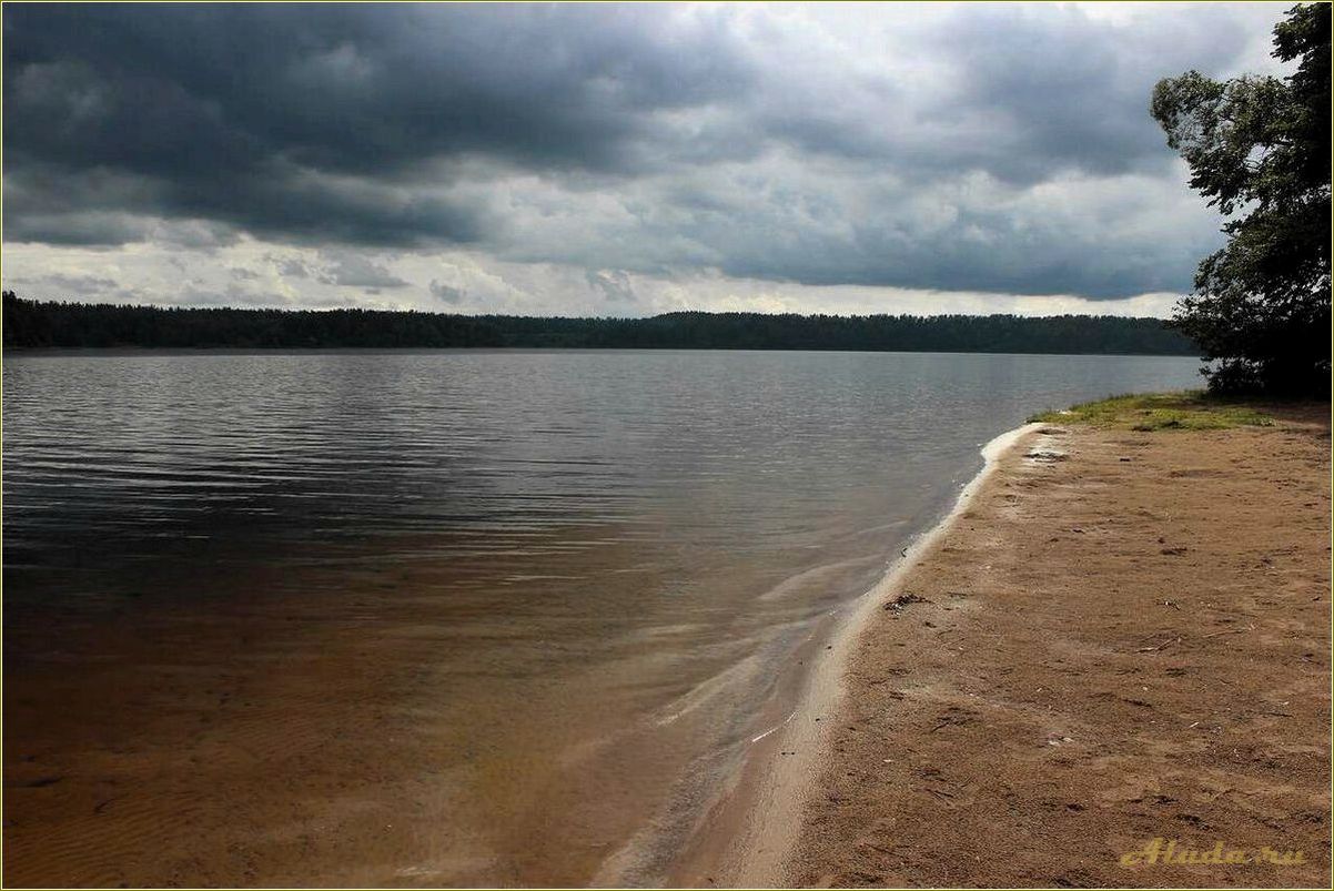 (озеро, пржевальское, смоленской, области, отдых) Озеро Пржевальское в Смоленской области: отдых и природные красоты