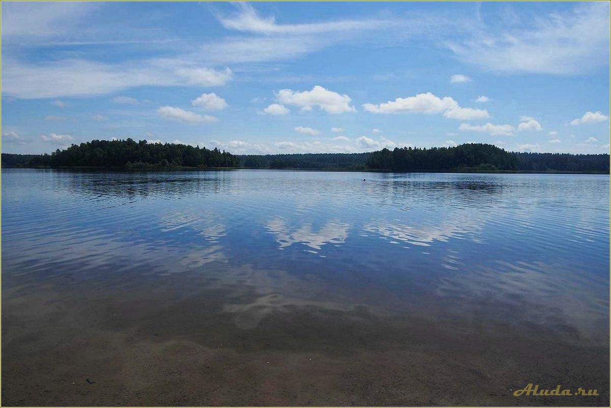 (озеро, пржевальское, смоленской, области, отдых) Озеро Пржевальское в Смоленской области: отдых и природные красоты