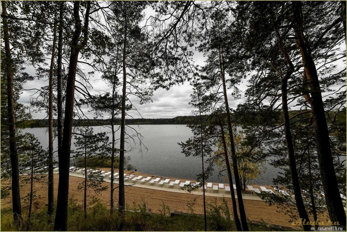(озеро, пржевальское, смоленской, области, отдых) Озеро Пржевальское в Смоленской области: отдых и природные красоты