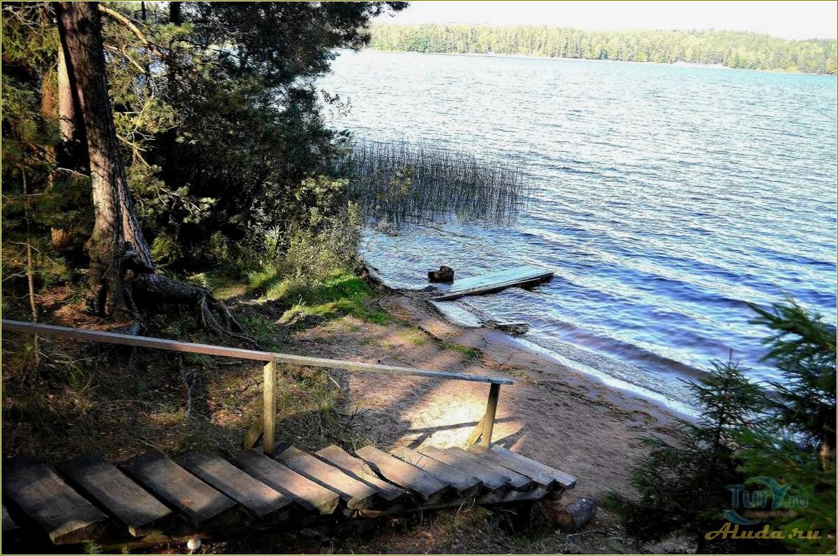 (озеро, пржевальское, смоленской, области, отдых) Озеро Пржевальское в Смоленской области: отдых и природные красоты