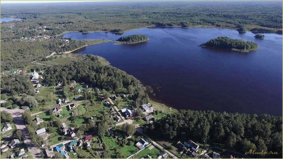 (озеро, пржевальское, смоленской, области, отдых) Озеро Пржевальское в Смоленской области: отдых и природные красоты