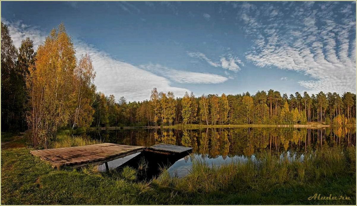Озеро в Ярославской области: идеальное место для чистого отдыха