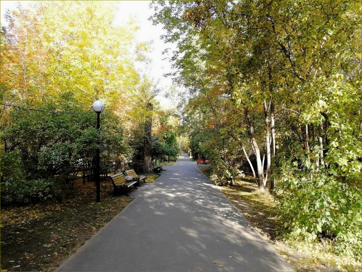 (парки, культуры, отдыха, новосибирской, области) Парки культуры и отдыха в Новосибирской области — лучшие места для семейного времяпрепровождения и активного отдыха