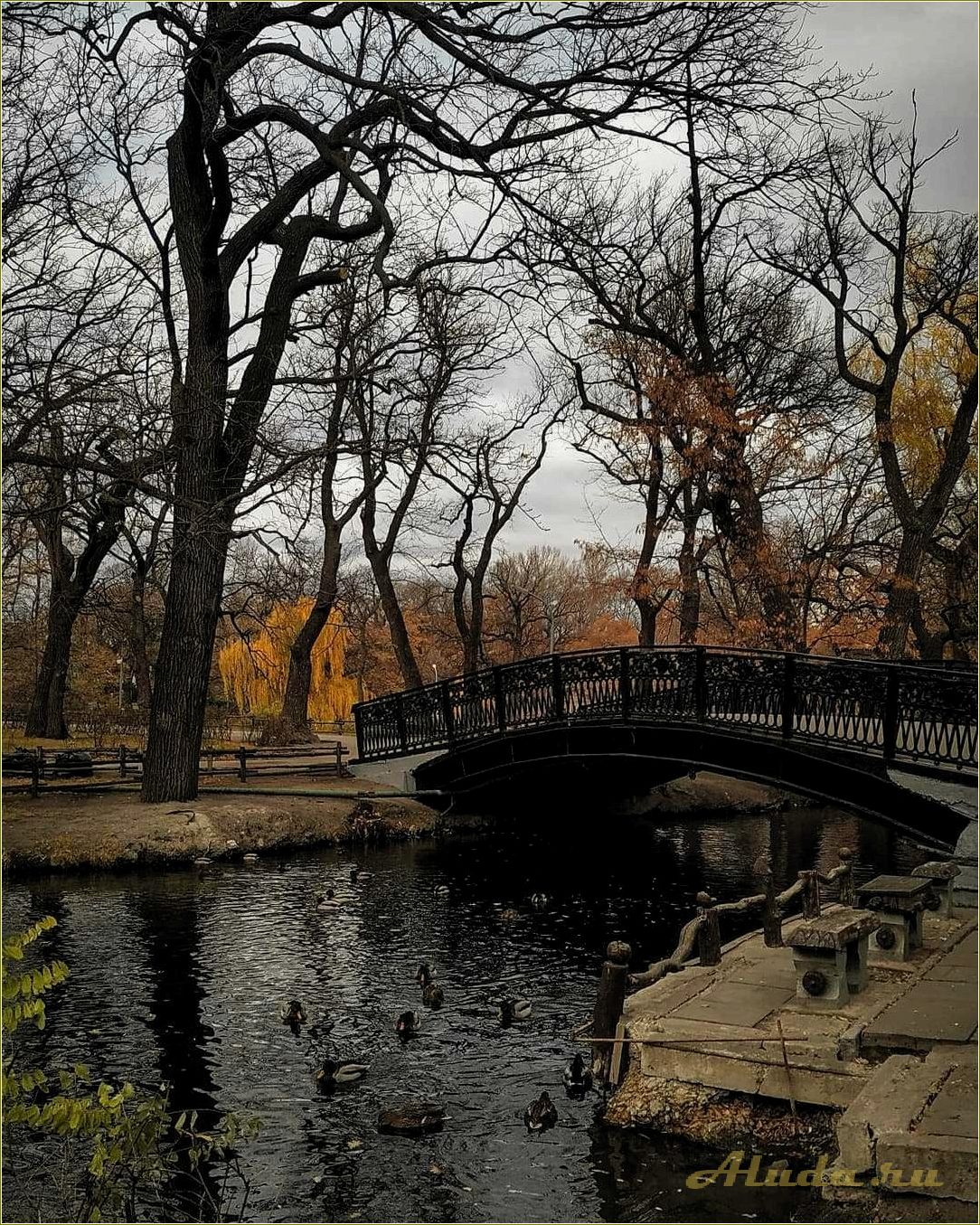 (парки, культуры, отдыха, саратовской, области) Парки культуры и отдыха в Саратовской области