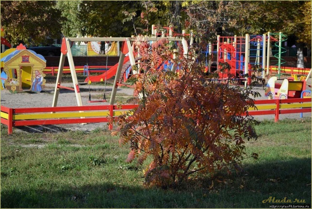 (парки, культуры, отдыха, саратовской, области) Парки культуры и отдыха в Саратовской области