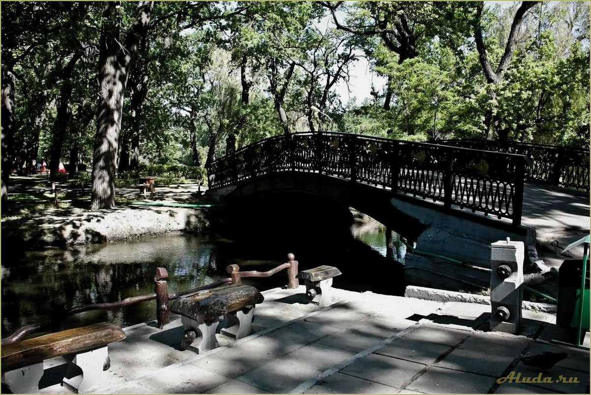 (парки, культуры, отдыха, саратовской, области) Парки культуры и отдыха в Саратовской области