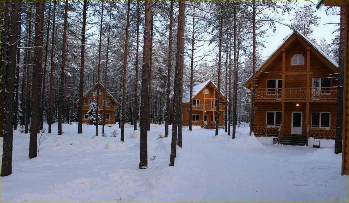 (первомайское, отличная, база, отдыха, ленинградской) Первомайское — отличная база отдыха в Ленинградской области