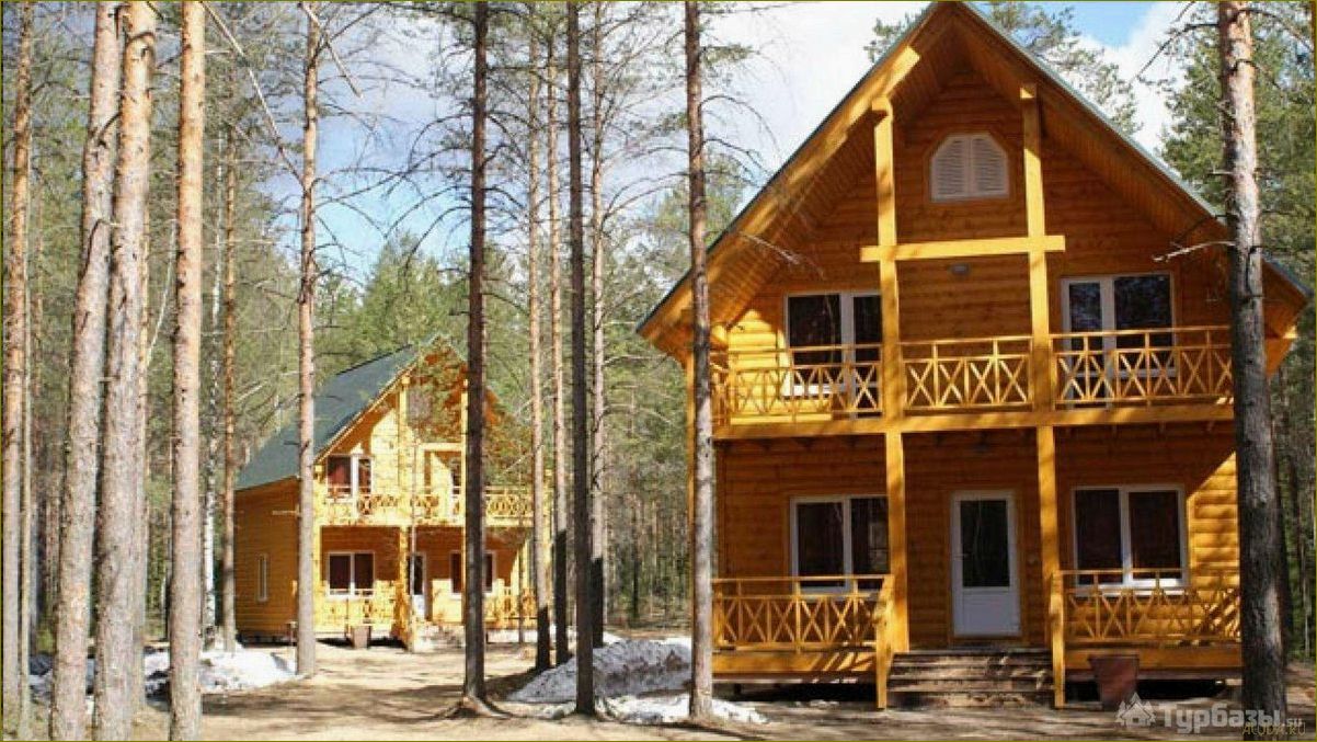 (первомайское, отличная, база, отдыха, ленинградской) Первомайское — отличная база отдыха в Ленинградской области