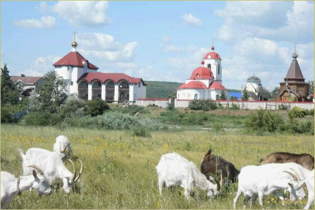 Подгоры самарская область отдых — горы, природа и активный отдых в живописном регионе