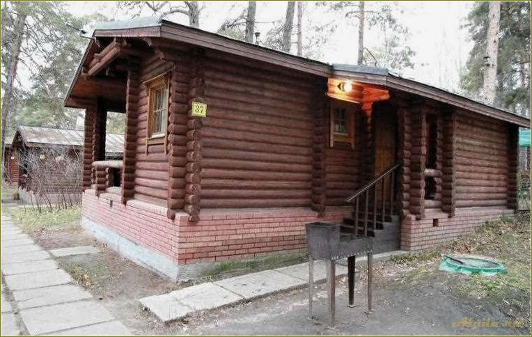 Подснежник — самарская область — идеальная база отдыха в любое время года