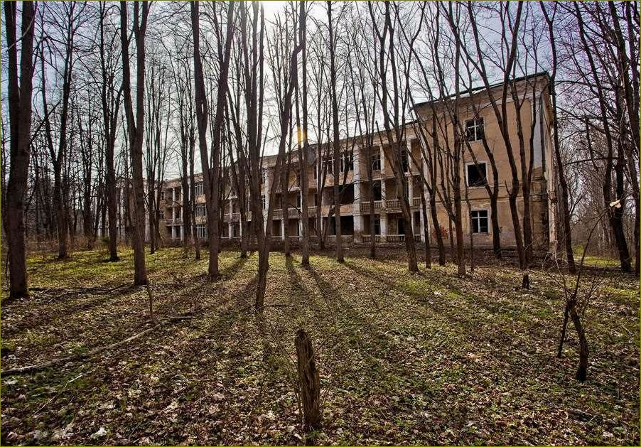 (полушкино, база, отдыха, московской, области) Полушкино база отдыха в Московской области — наслаждайтесь природой и комфортом в одном месте